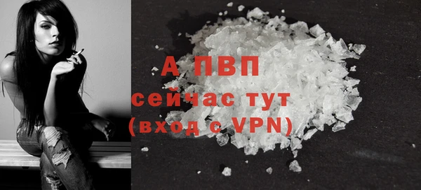амф Осташков