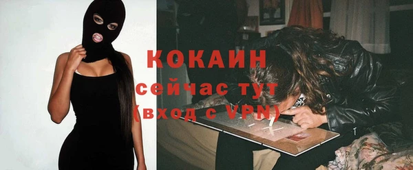 тгк Алексин