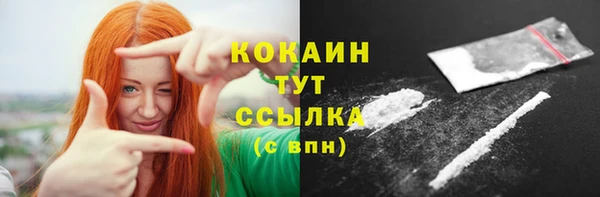 тгк Алексин