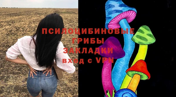 тгк Алексин