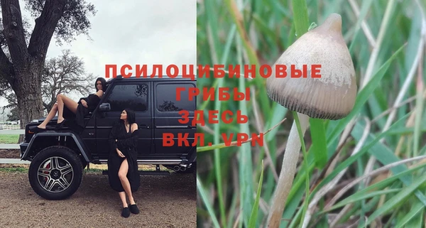 тгк Алексин