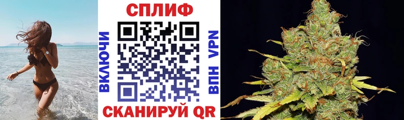 МАРИХУАНА гибрид  продажа наркотиков  Орлов 